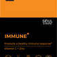 Soul Strips Immune Vegano Sem Açúcar Sabor Laranja 30 Tiras
