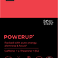 Soul Strips PowerUp Vegano Sem Açúcar Sabor Morango 30 Tiras