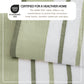 Decorative Cotton Stripe Bath Towel Set - Noelle Collection
