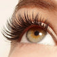 Phoera Volumizing and Lengthening Smudge Proof Mascara 3g